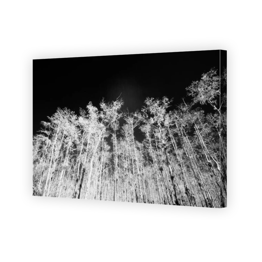 Thumbnail for Canvas - Gallery Canvas Wrap