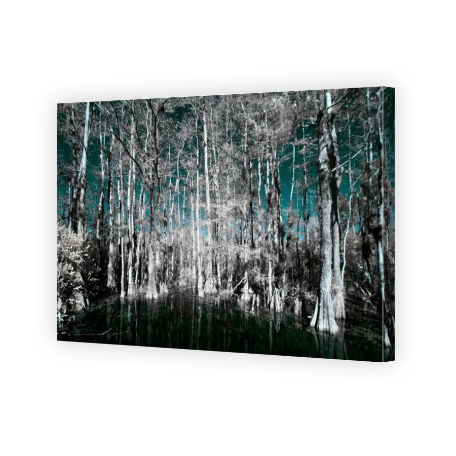 Thumbnail for Canvas - Gallery Canvas Wrap