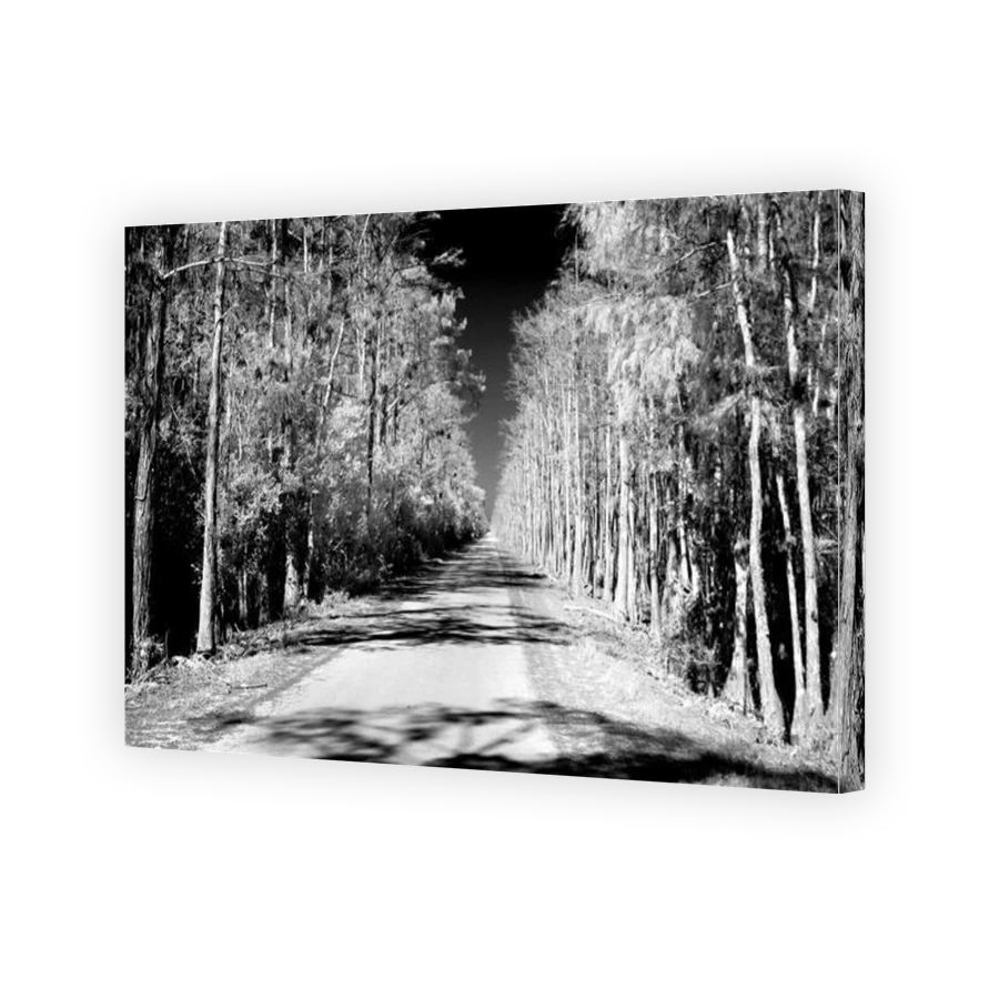 Thumbnail for Canvas - Gallery Canvas Wrap
