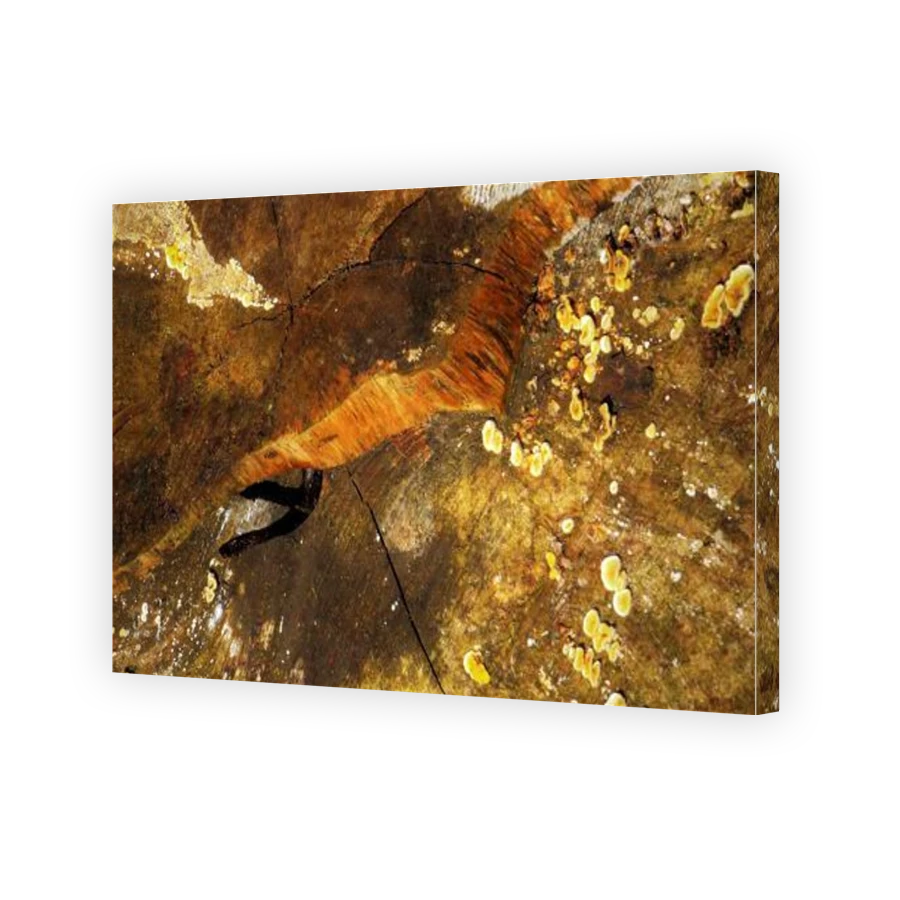 Thumbnail for Canvas - Gallery Canvas Wrap