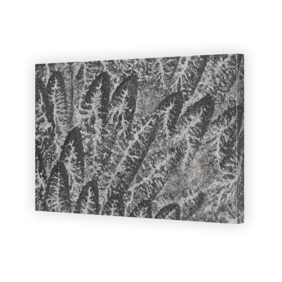 Thumbnail for Canvas - Gallery Canvas Wrap