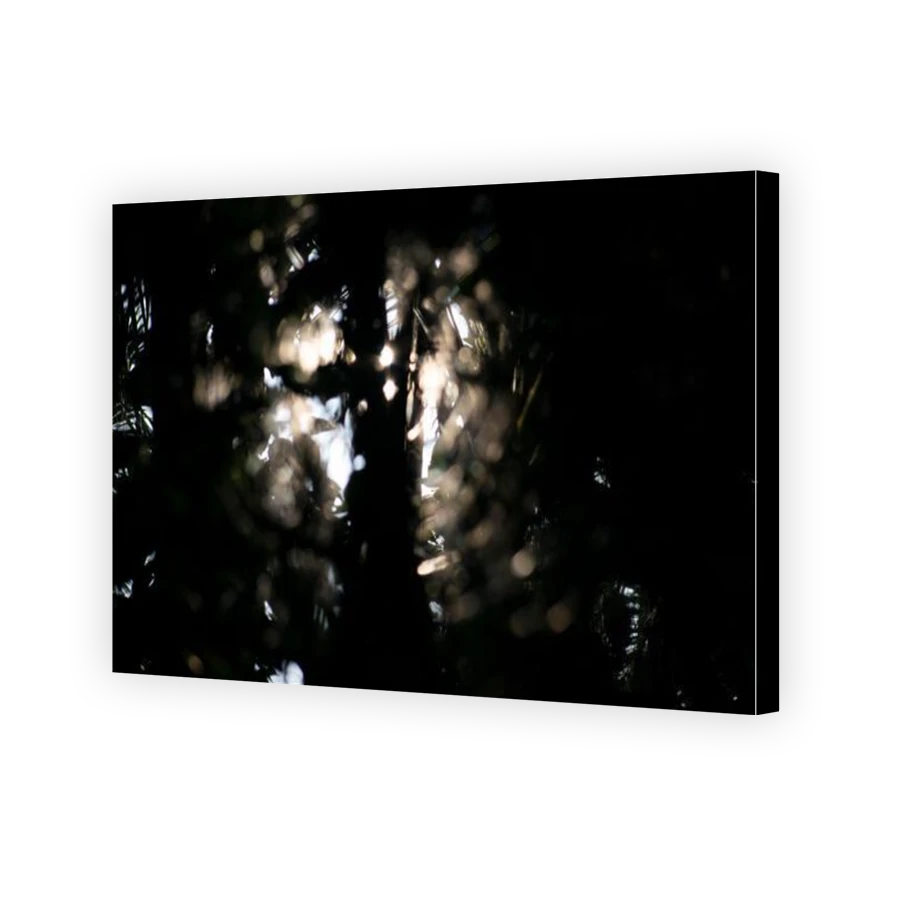 Thumbnail for Canvas - Gallery Canvas Wrap