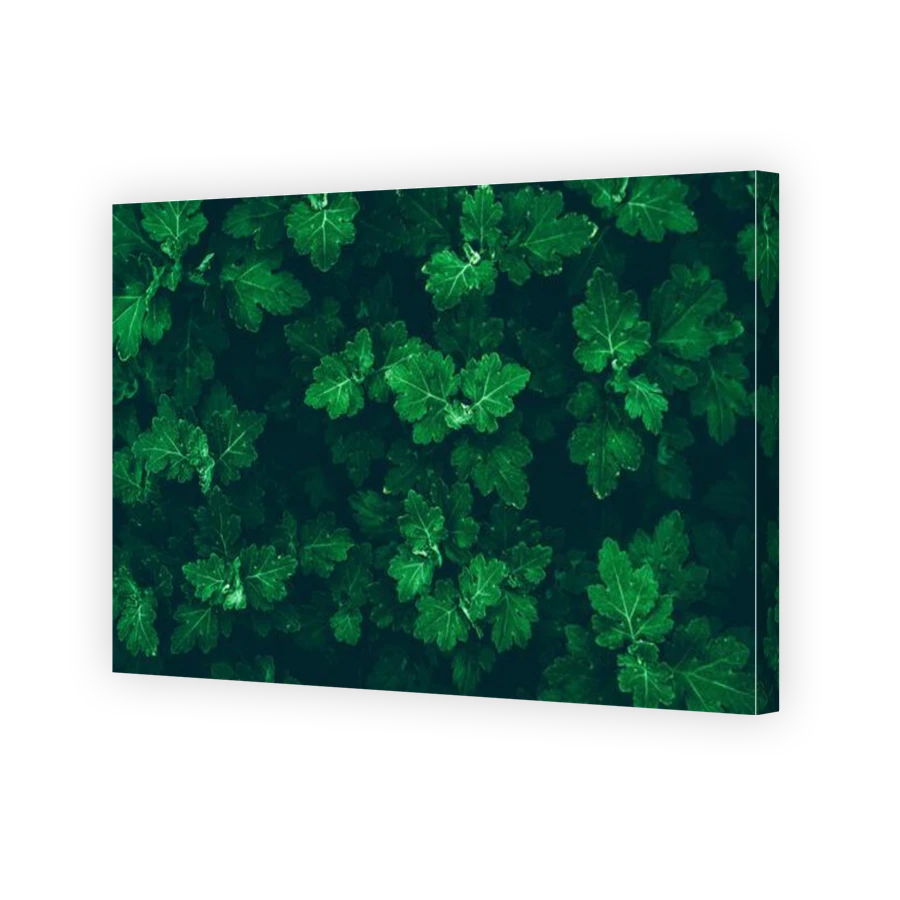 Thumbnail for Canvas - Gallery Canvas Wrap