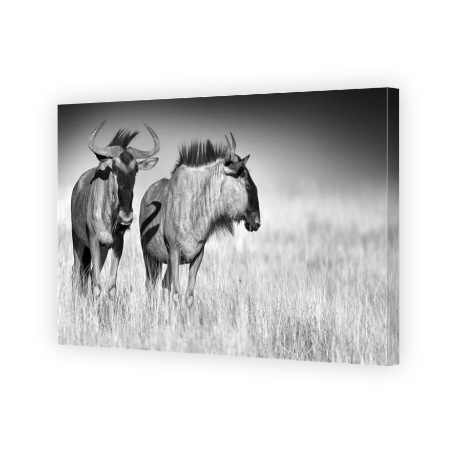 Thumbnail for Canvas - Gallery Canvas Wrap