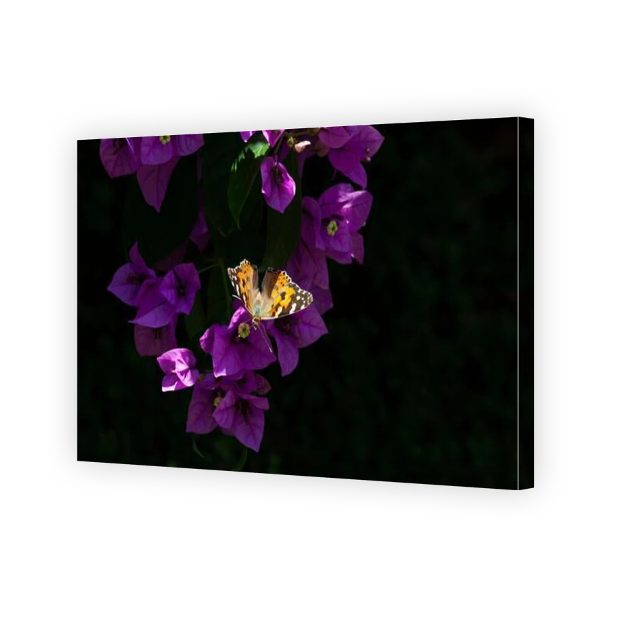 Thumbnail for Canvas - Gallery Canvas Wrap