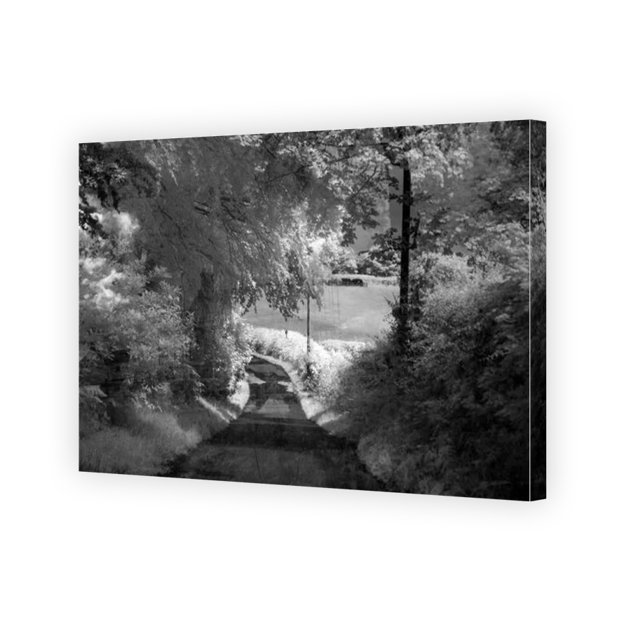 Thumbnail for Canvas - Gallery Canvas Wrap