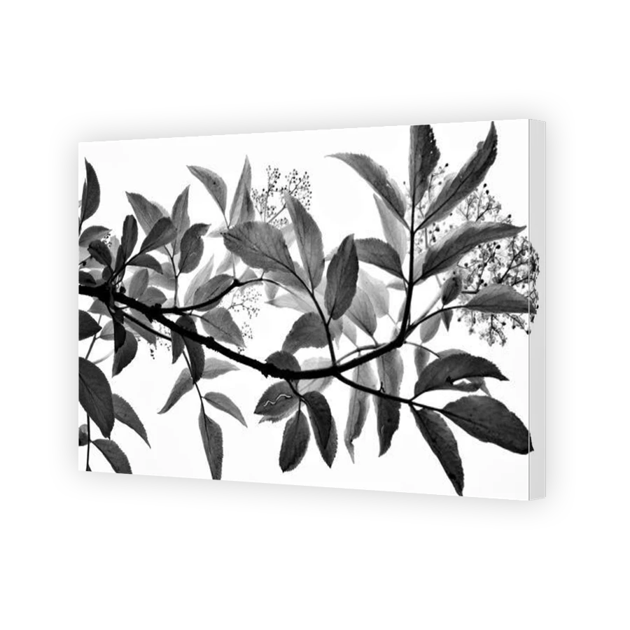 Thumbnail for Canvas - Gallery Canvas Wrap