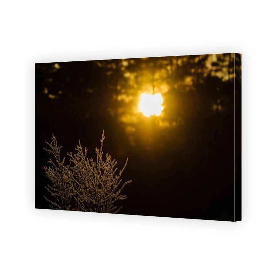 Thumbnail for Canvas - Gallery Canvas Wrap