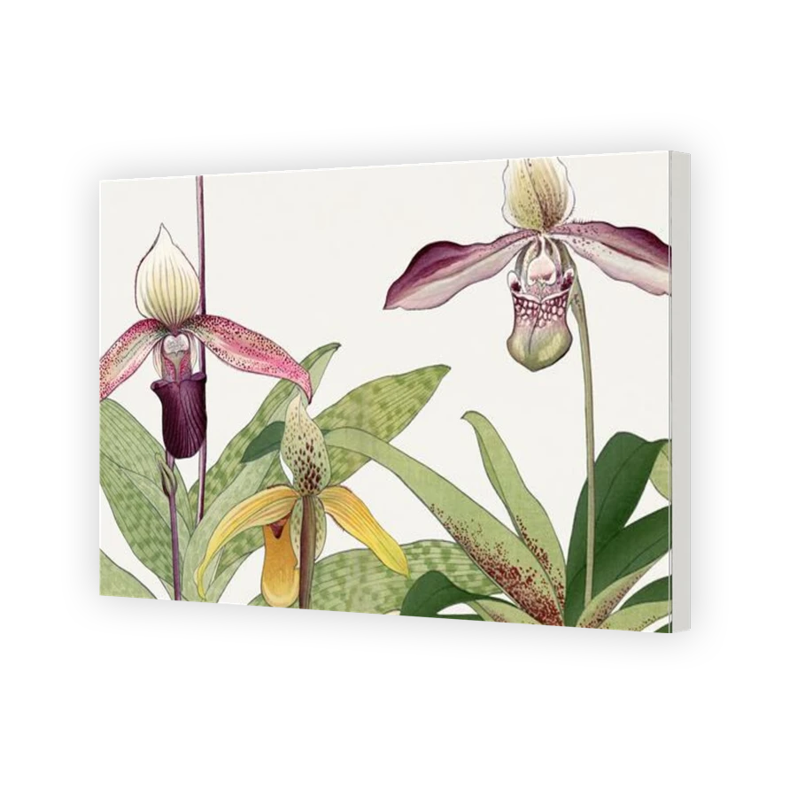 Thumbnail for Canvas - Gallery Canvas Wrap