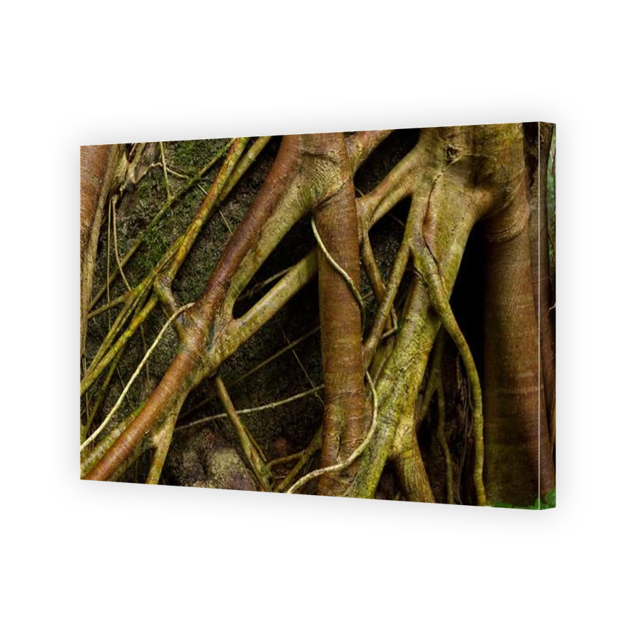 Thumbnail for Canvas - Gallery Canvas Wrap