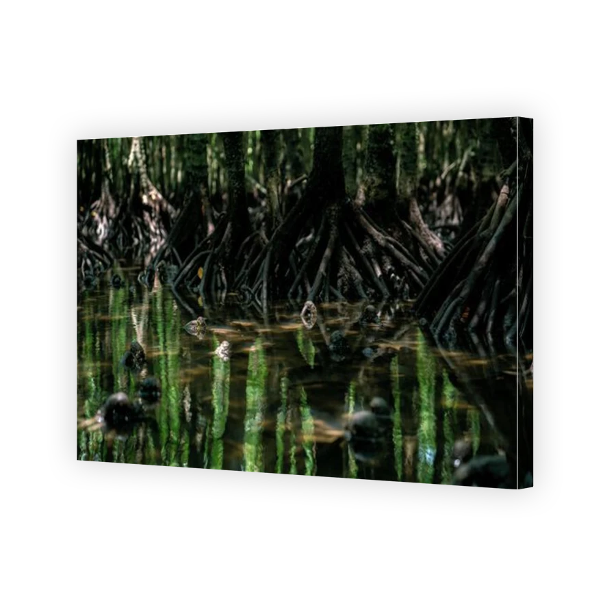 Thumbnail for Canvas - Gallery Canvas Wrap