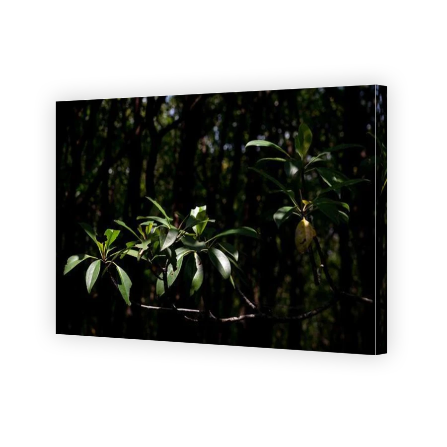 Thumbnail for Canvas - Gallery Canvas Wrap