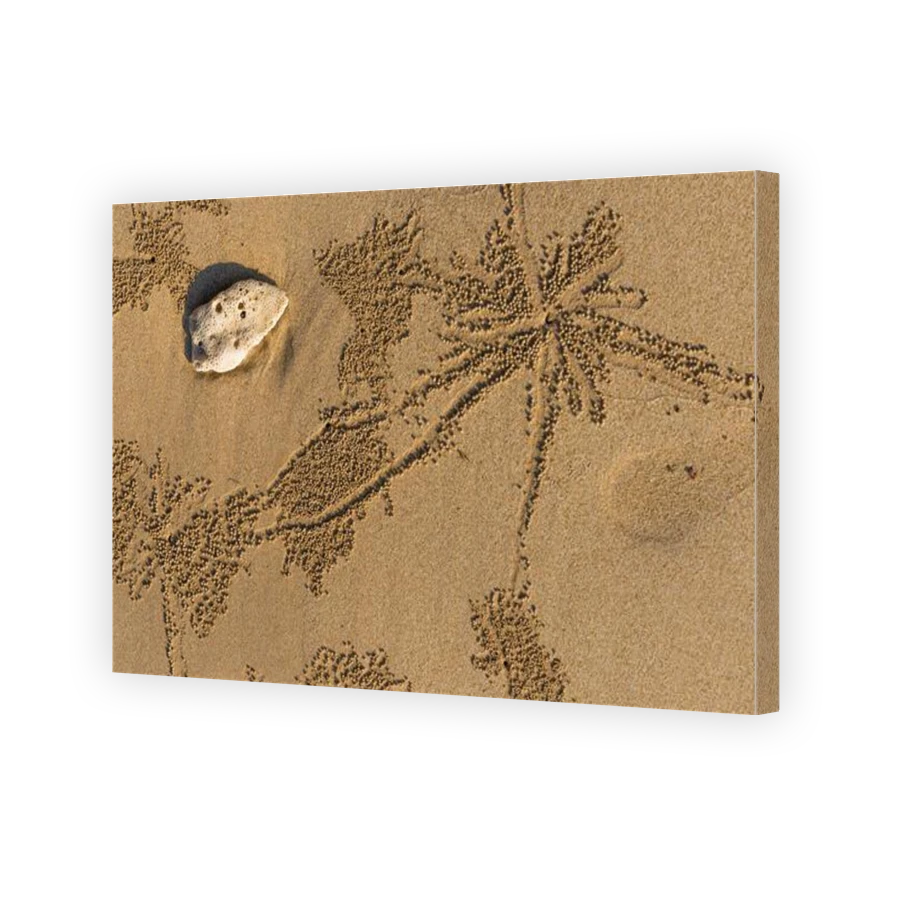 Thumbnail for Canvas - Gallery Canvas Wrap