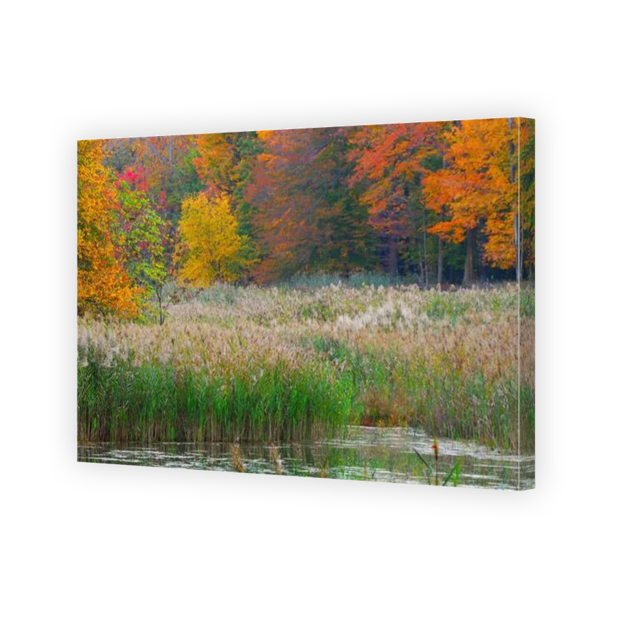 Thumbnail for Canvas - Gallery Canvas Wrap