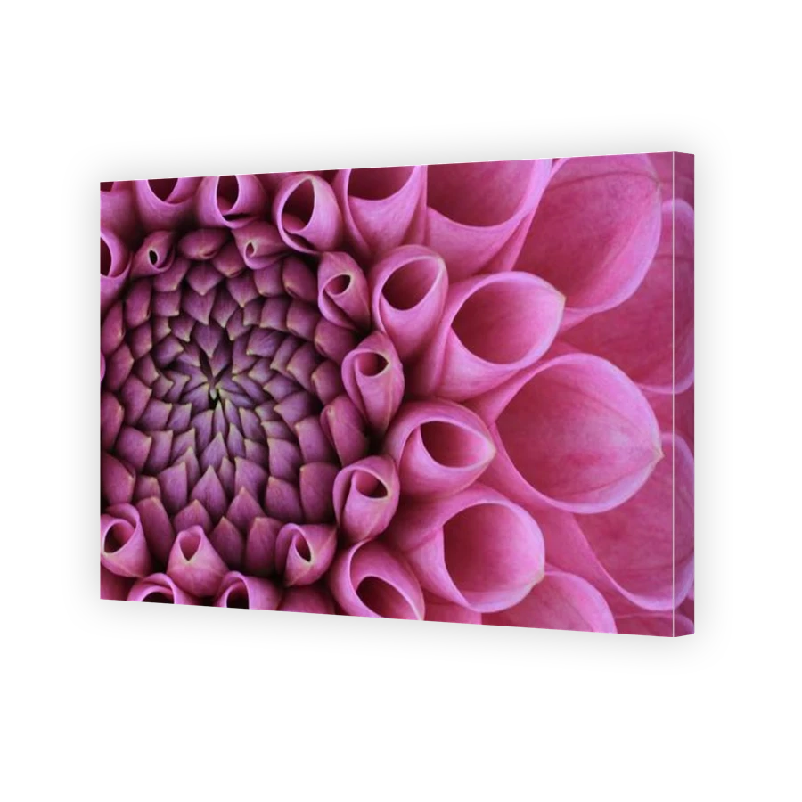 Thumbnail for Canvas - Gallery Canvas Wrap