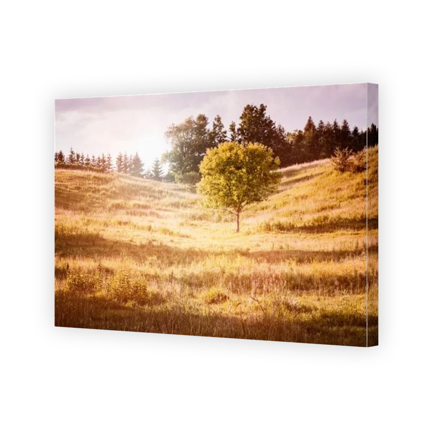 Thumbnail for Canvas - Gallery Canvas Wrap