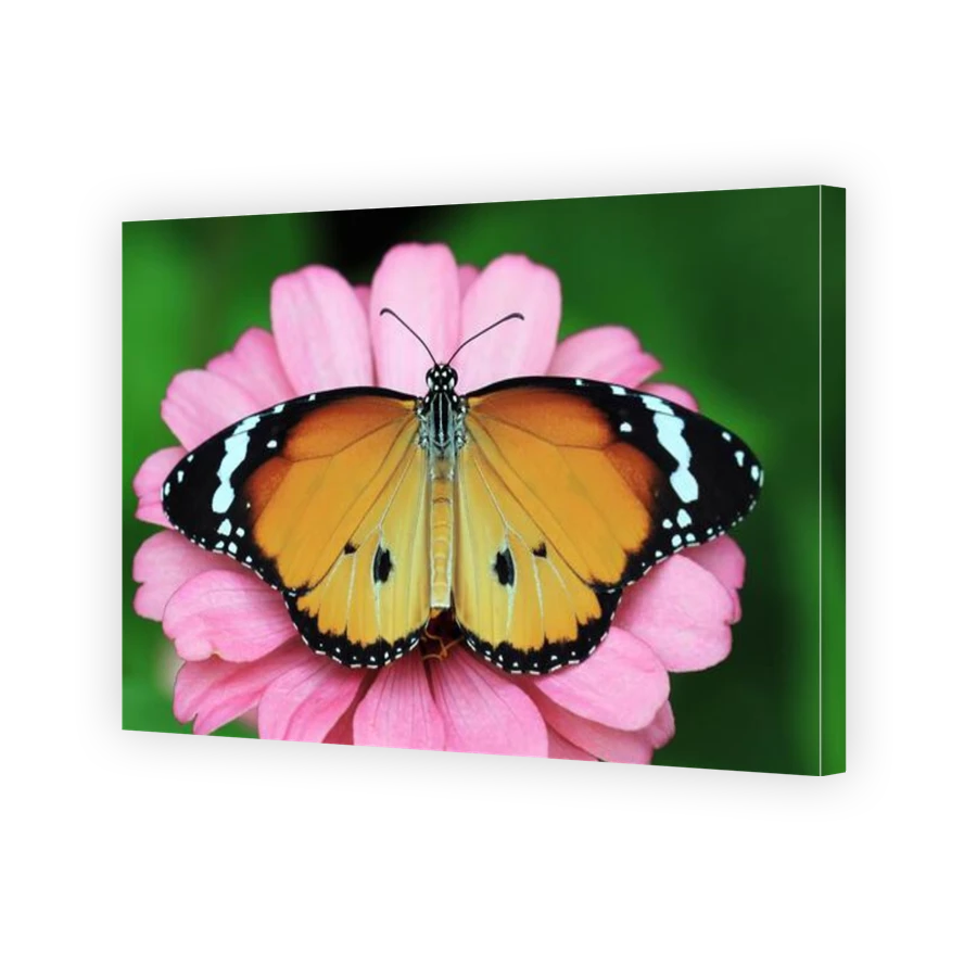 Thumbnail for Canvas - Gallery Canvas Wrap