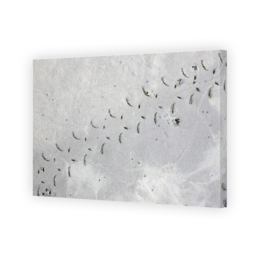 Thumbnail for Canvas - Gallery Canvas Wrap