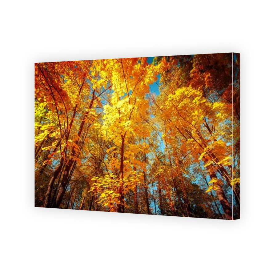 Thumbnail for Canvas - Gallery Canvas Wrap