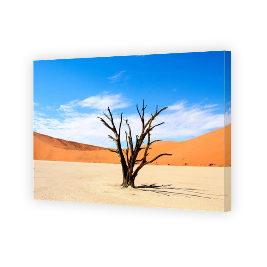 Thumbnail for Canvas - Gallery Canvas Wrap
