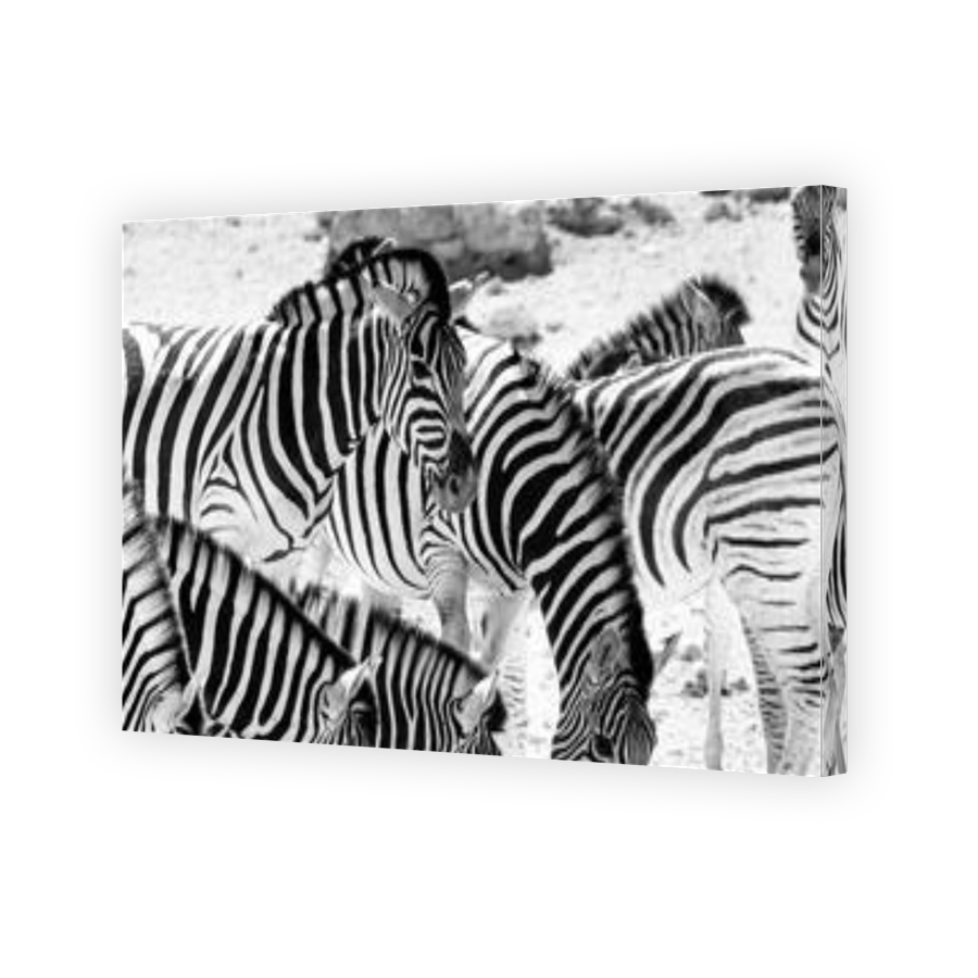 Thumbnail for Canvas - Gallery Canvas Wrap