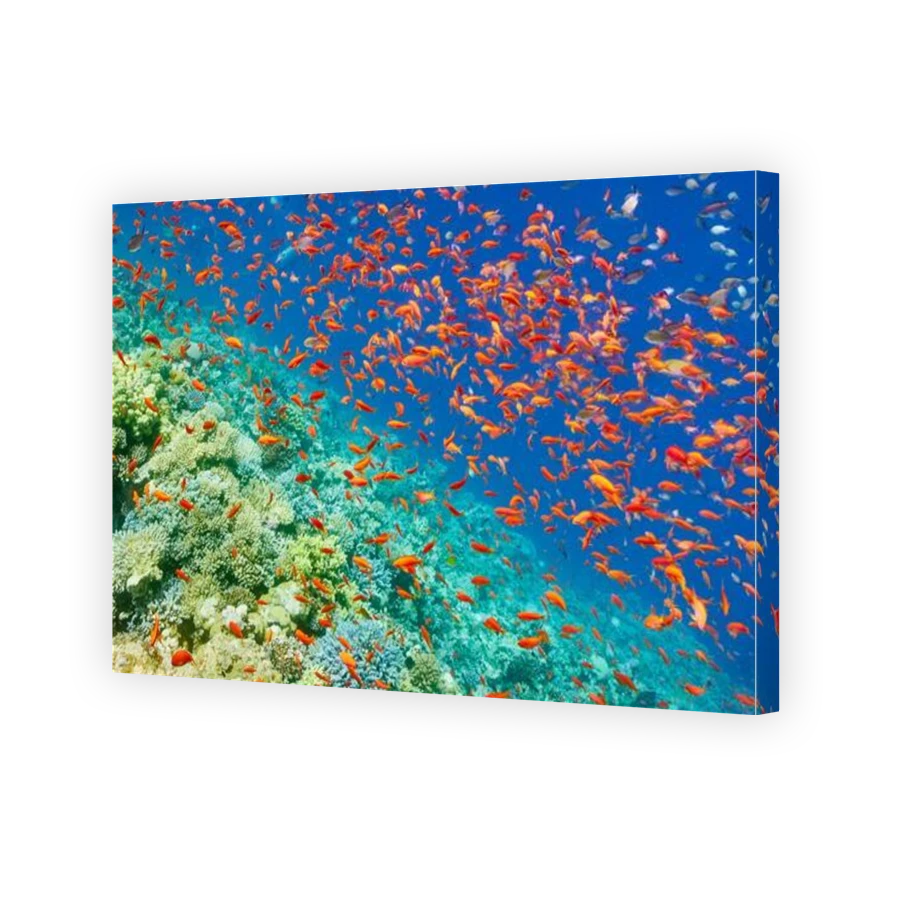 Thumbnail for Canvas - Gallery Canvas Wrap