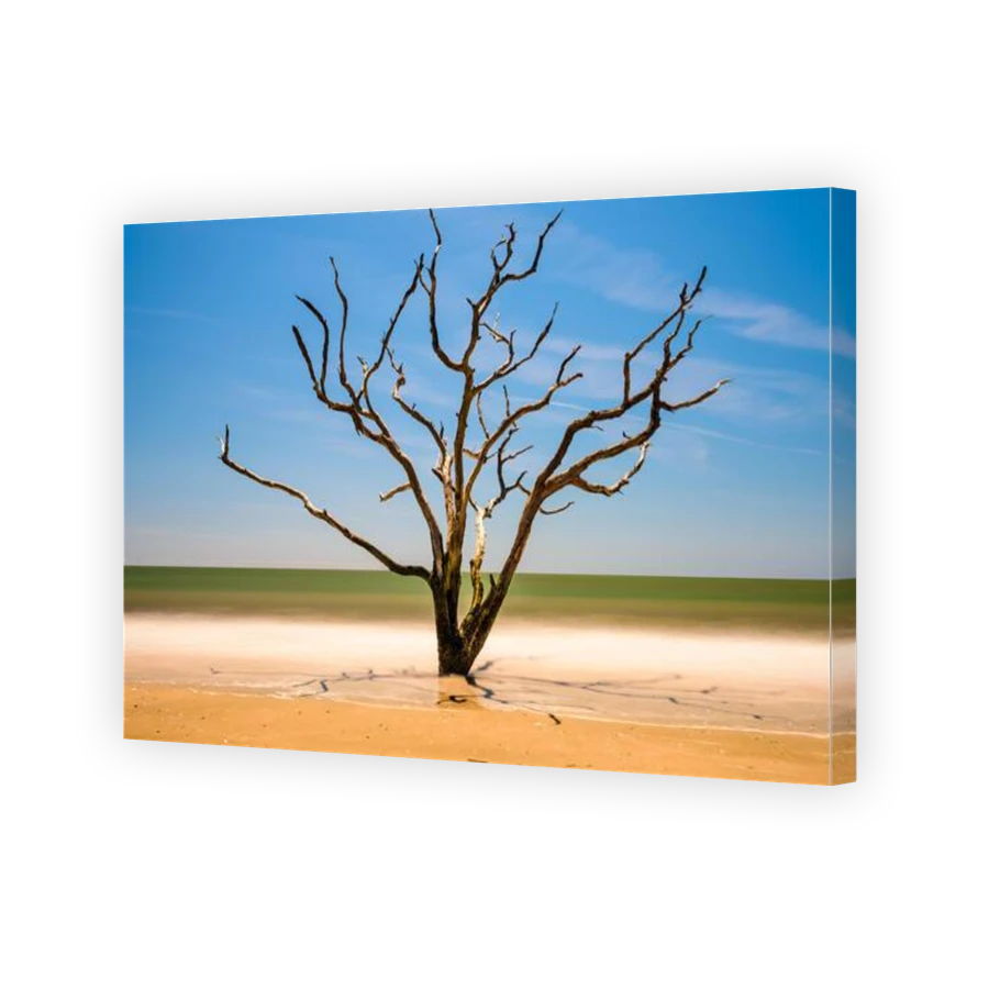 Thumbnail for Canvas - Gallery Canvas Wrap
