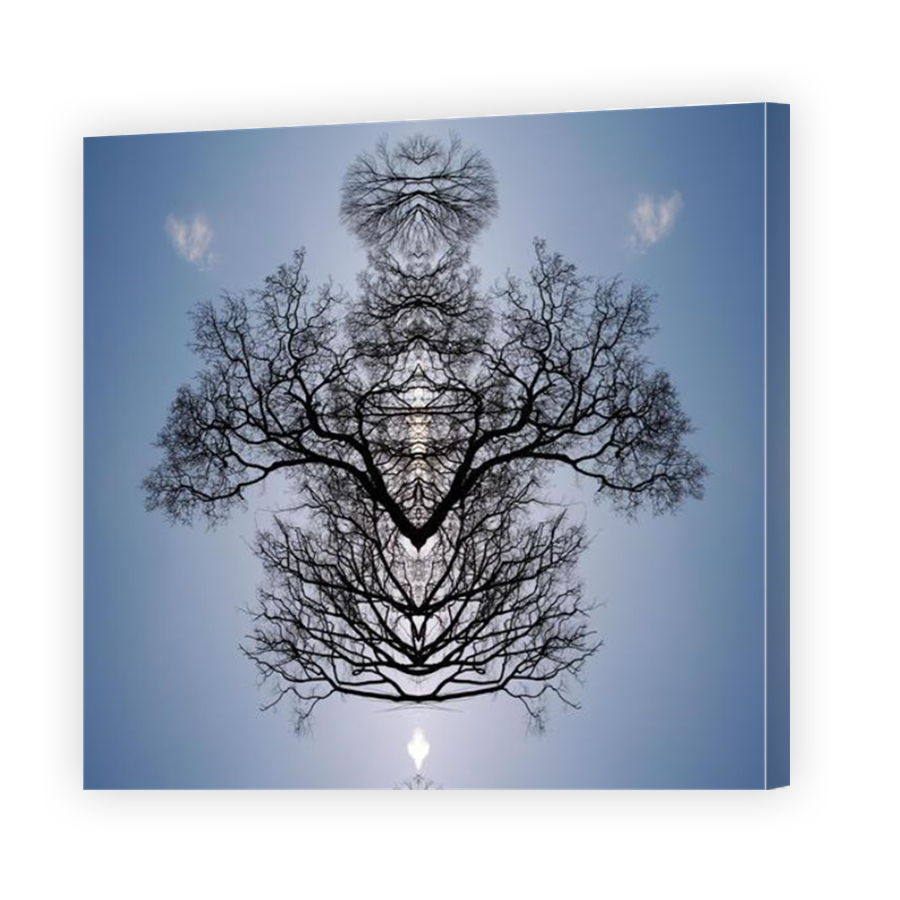 Thumbnail for Canvas - Mirror Image Canvas Wrap