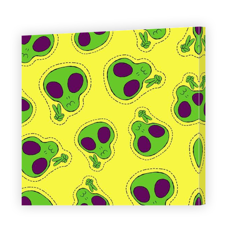 Thumbnail for Canvas - Mirror Image Canvas Wrap