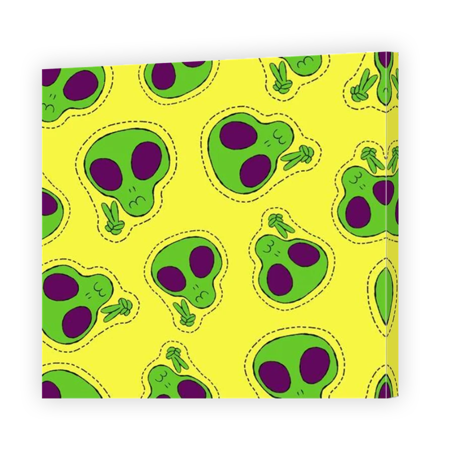 Thumbnail for Canvas - Mirror Image Canvas Wrap