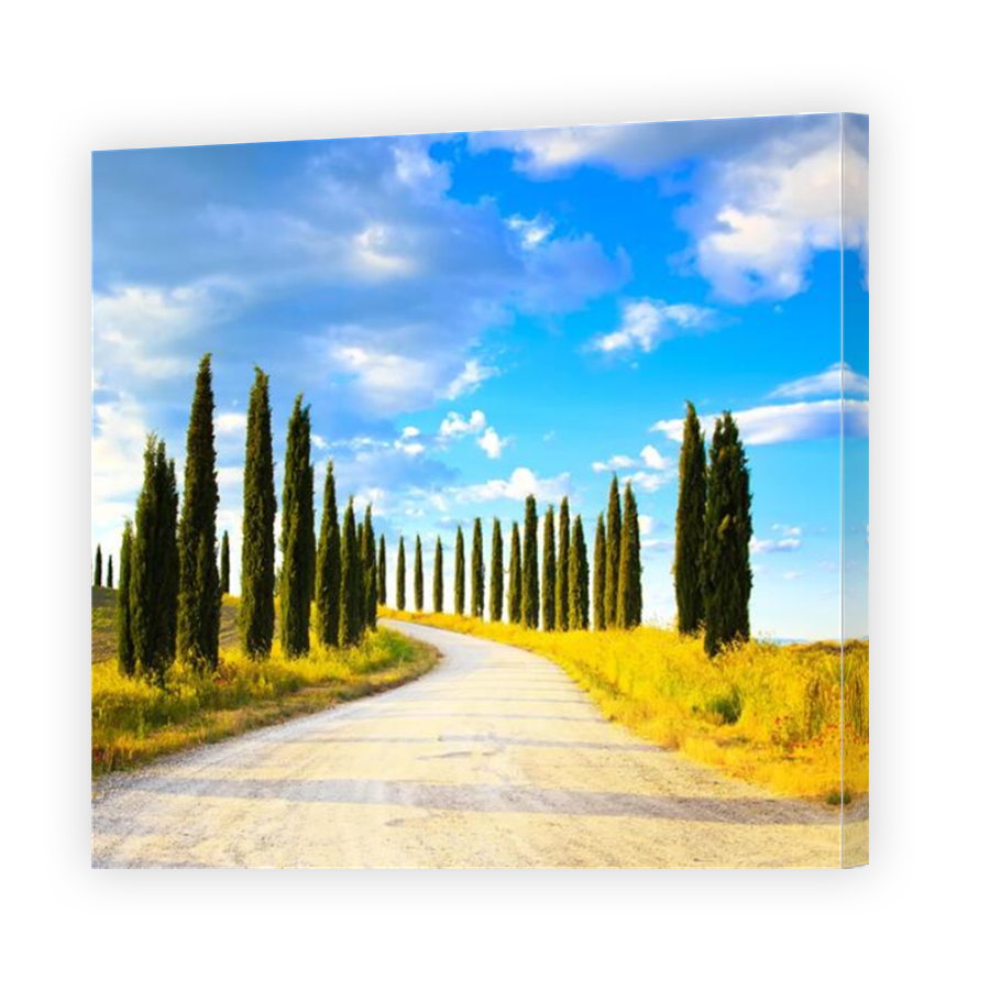 Thumbnail for Canvas - Mirror Image Canvas Wrap