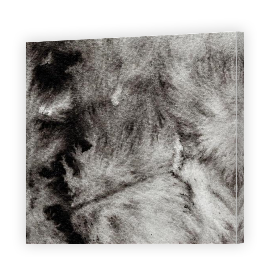 Thumbnail for Canvas - Mirror Image Canvas Wrap