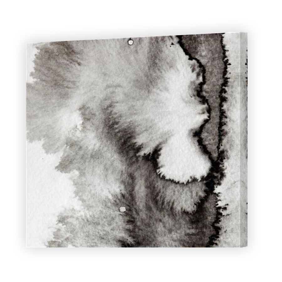 Thumbnail for Canvas - Mirror Image Canvas Wrap