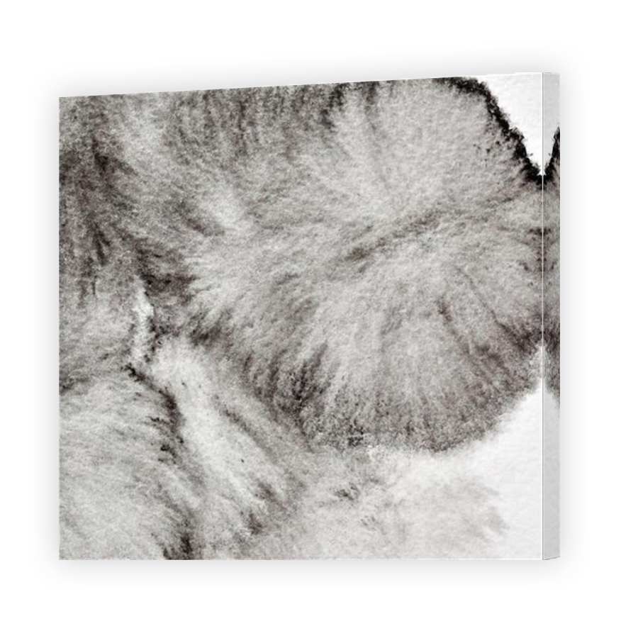 Thumbnail for Canvas - Mirror Image Canvas Wrap