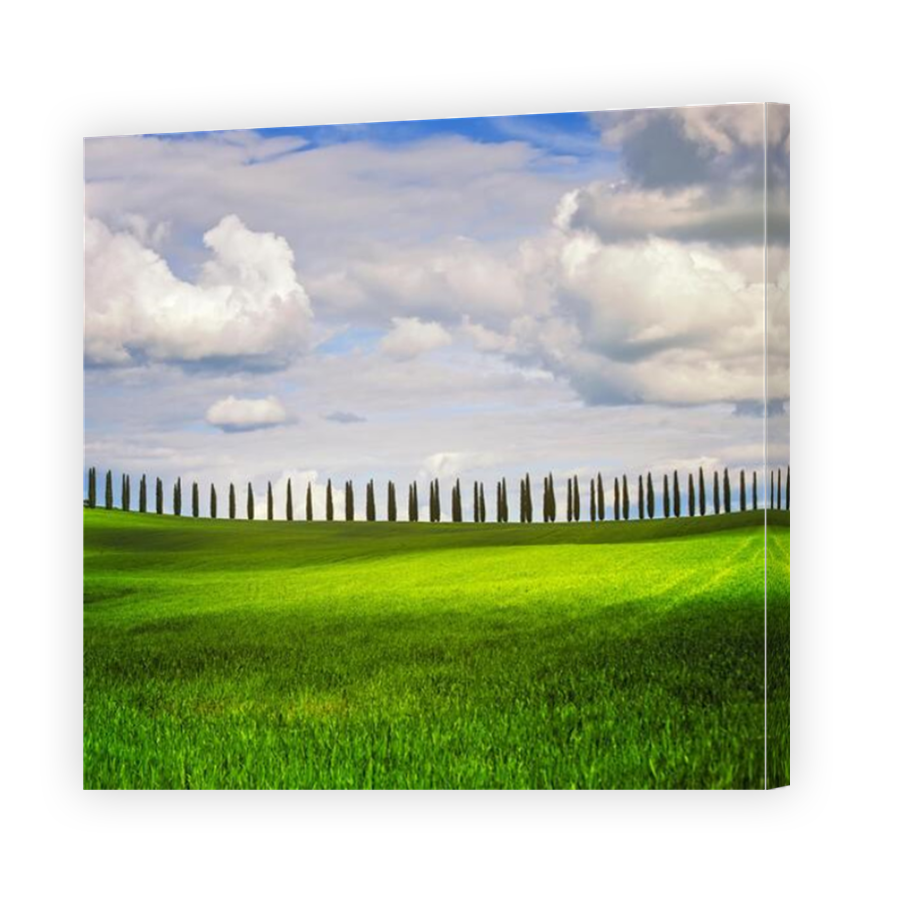Thumbnail for Canvas - Mirror Image Canvas Wrap