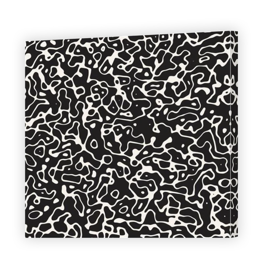 Thumbnail for Canvas - Mirror Image Canvas Wrap