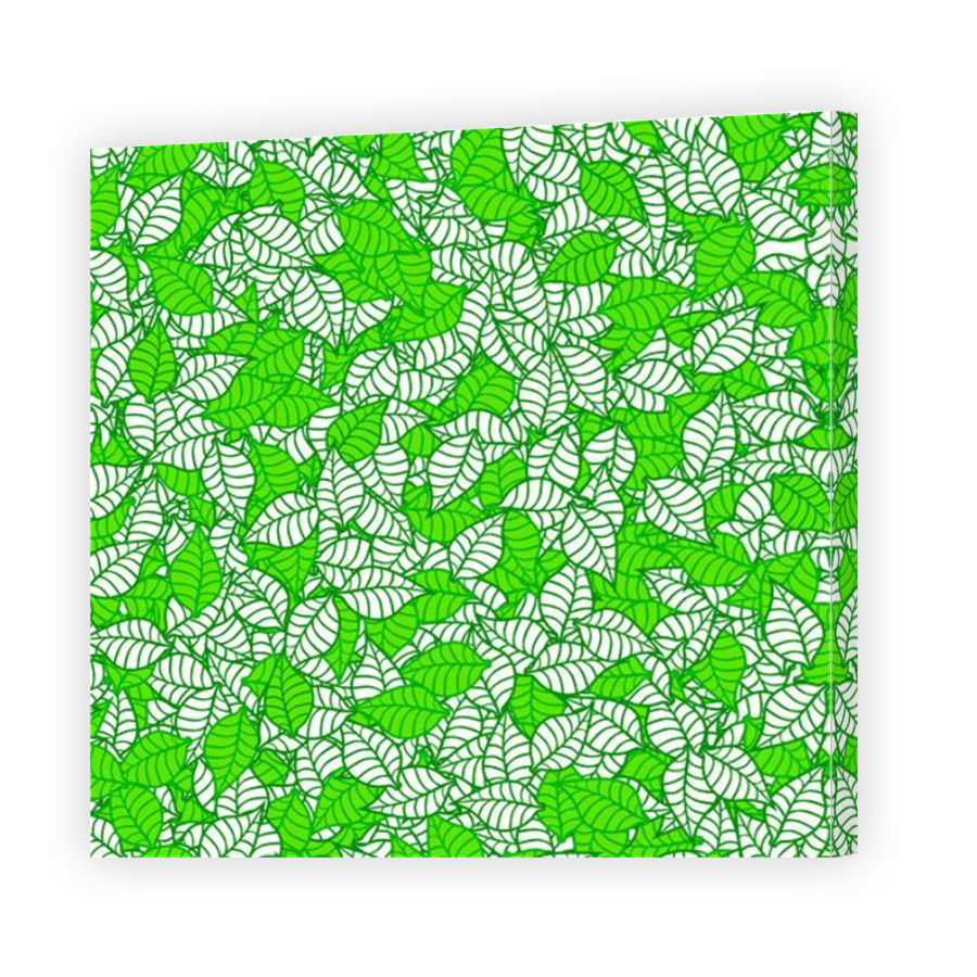 Thumbnail for Canvas - Mirror Image Canvas Wrap