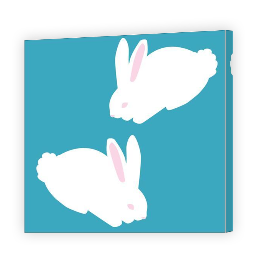 Thumbnail for Canvas - Mirror Image Canvas Wrap