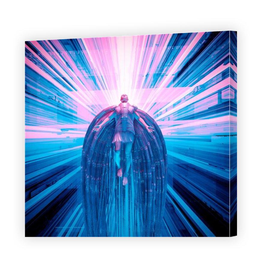 Thumbnail for Canvas - Mirror Image Canvas Wrap