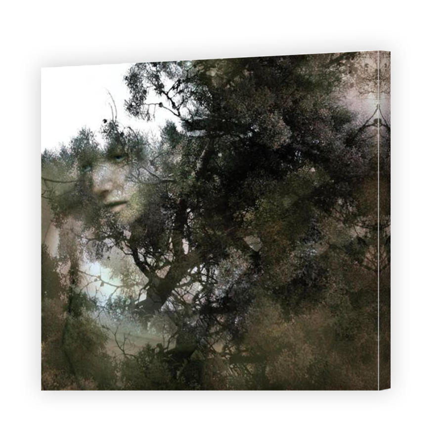 Thumbnail for Canvas - Mirror Image Canvas Wrap