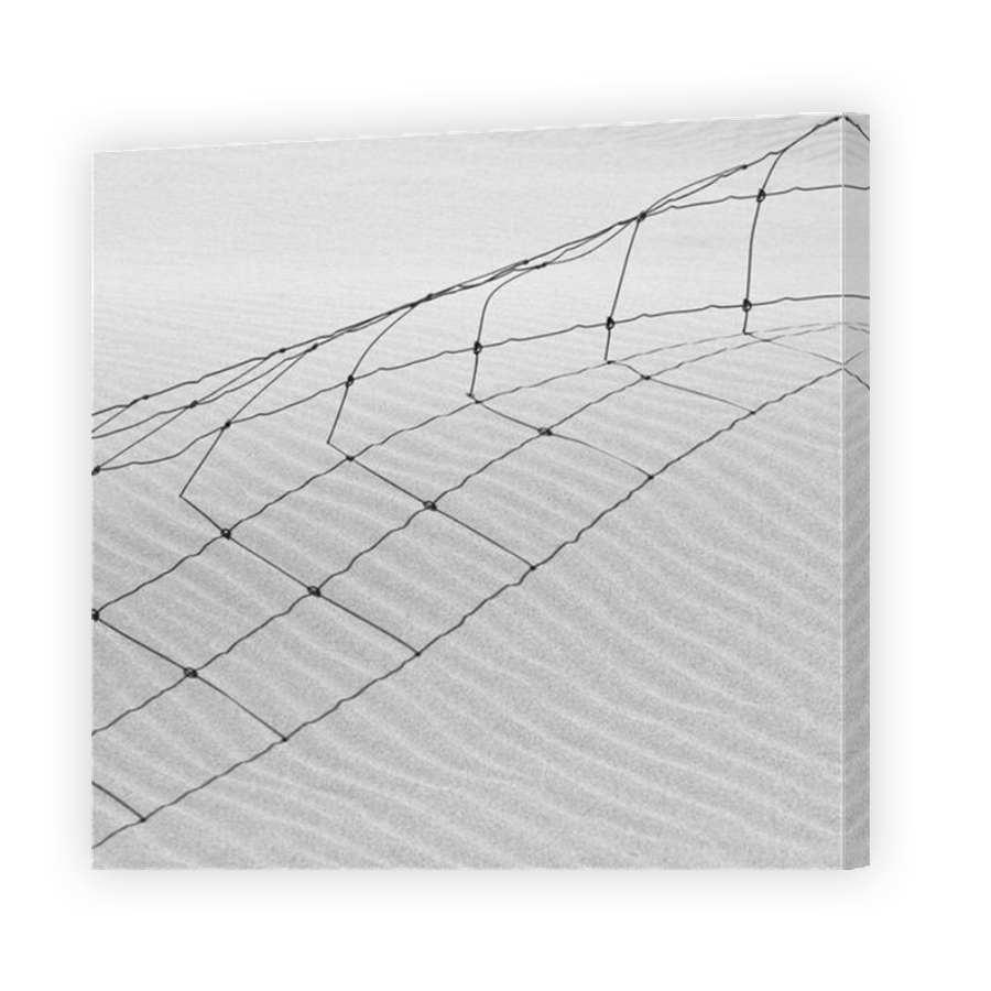 Thumbnail for Canvas - Mirror Image Canvas Wrap