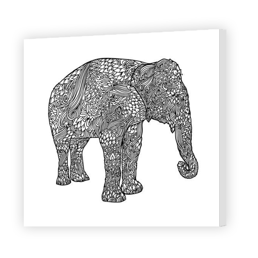 Thumbnail for Canvas - Mirror Image Canvas Wrap