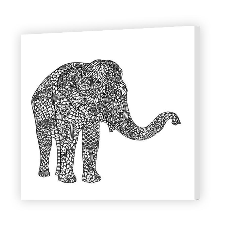 Thumbnail for Canvas - Mirror Image Canvas Wrap