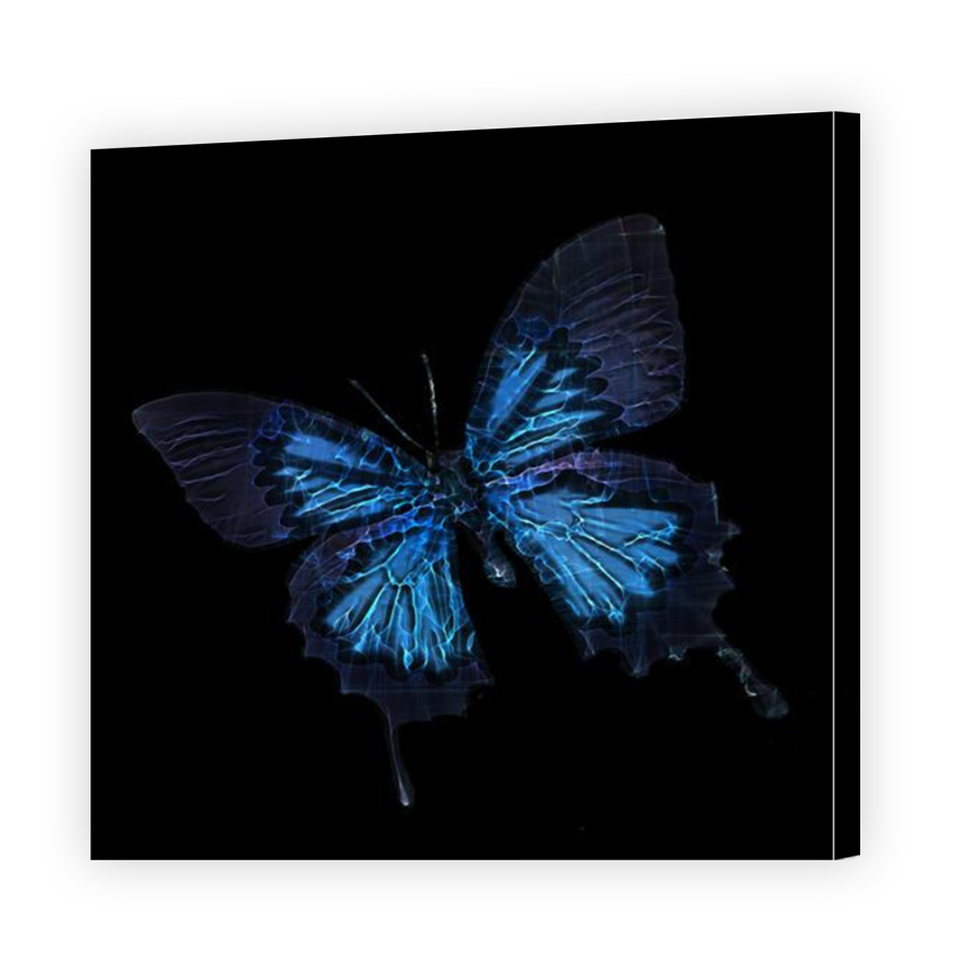 Thumbnail for Canvas - Mirror Image Canvas Wrap