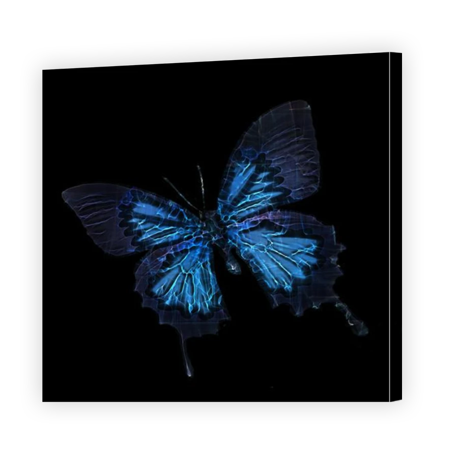 Thumbnail for Canvas - Mirror Image Canvas Wrap