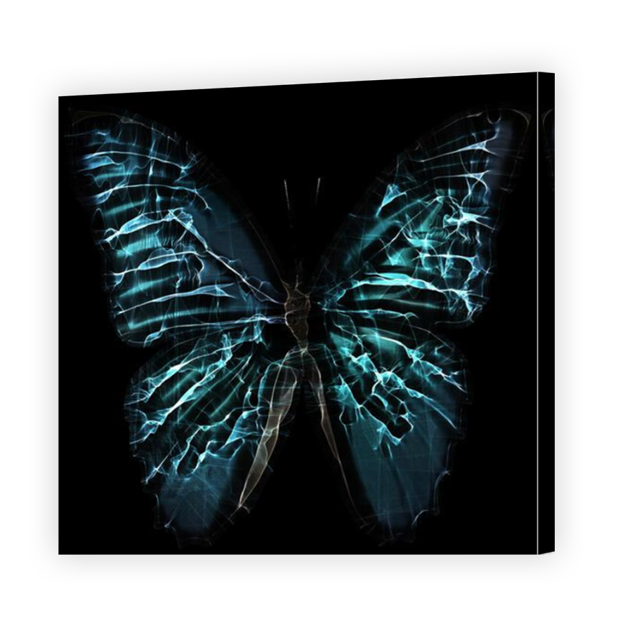 Thumbnail for Canvas - Mirror Image Canvas Wrap