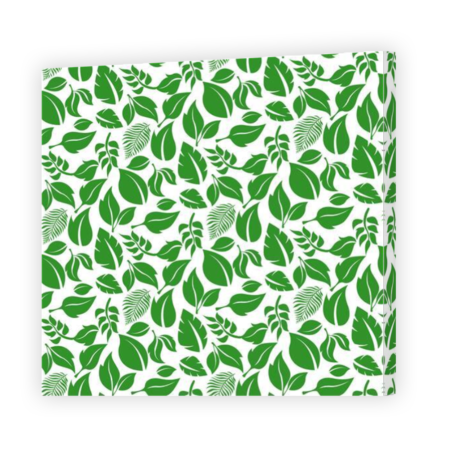 Thumbnail for Canvas - Mirror Image Canvas Wrap