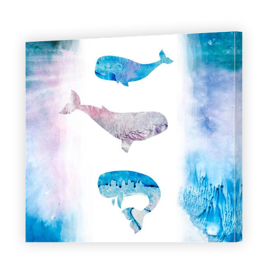 Thumbnail for Canvas - Mirror Image Canvas Wrap