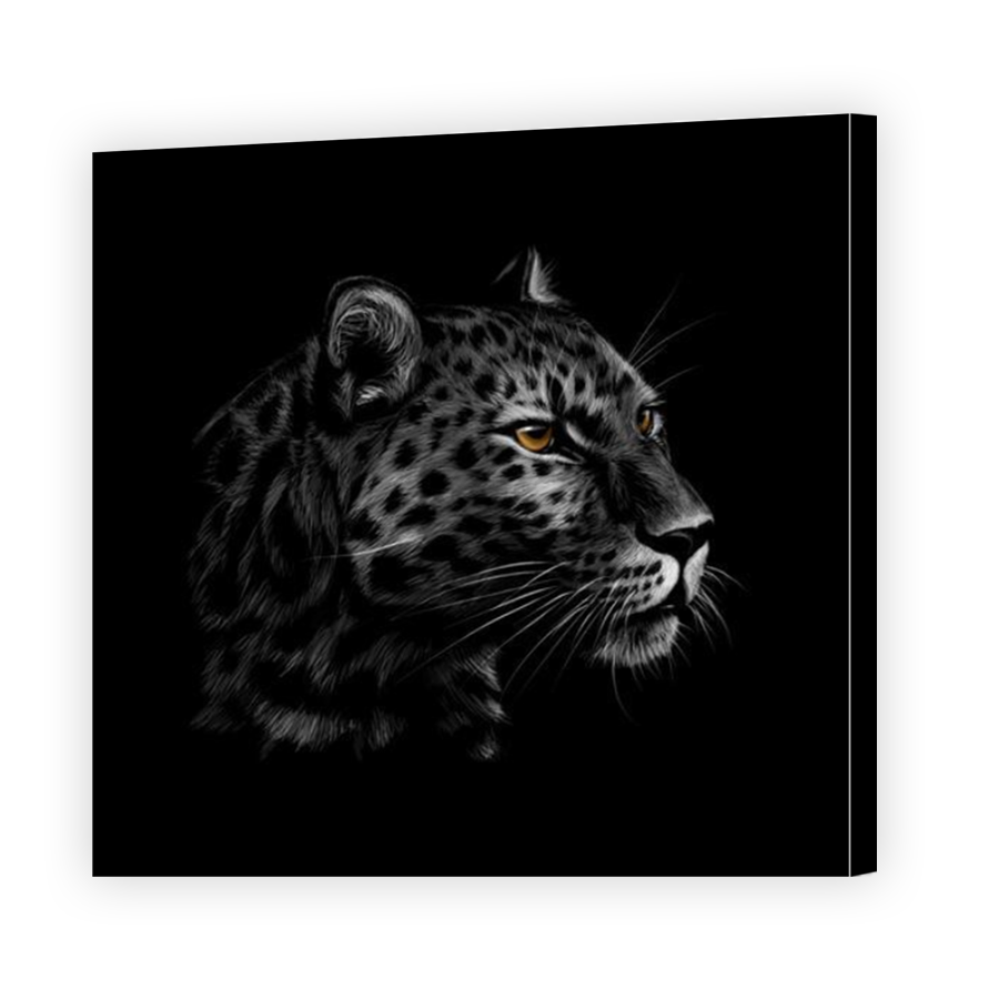 Thumbnail for Canvas - Mirror Image Canvas Wrap