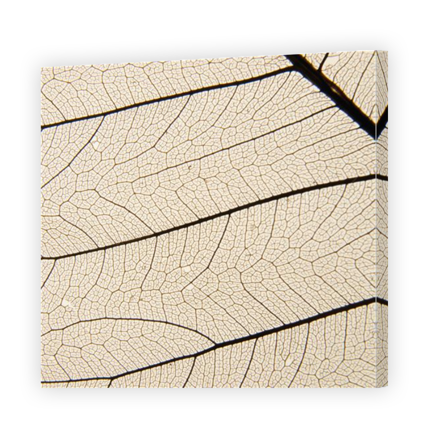 Thumbnail for Canvas - Mirror Image Canvas Wrap